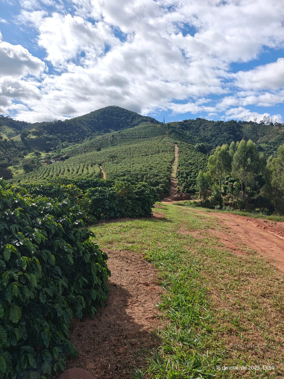 Linda fazenda para venda em Pouso Alto - MG