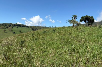 Terreno rural para venda em Dom Viçoso MG