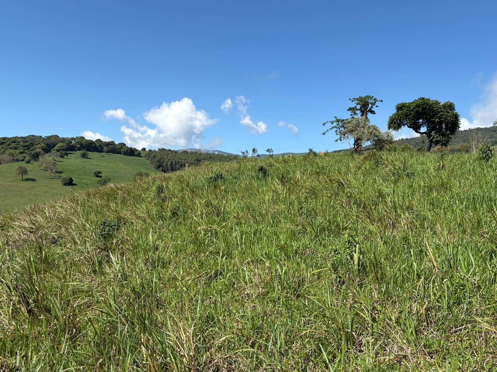 Terreno rural para venda em Dom Viçoso MG