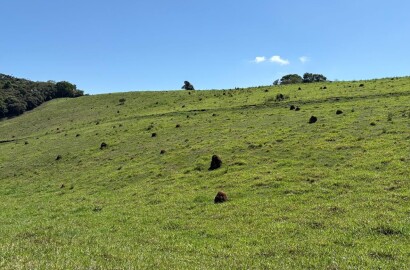 Terreno Rural para venda em Dom Viçoso MG