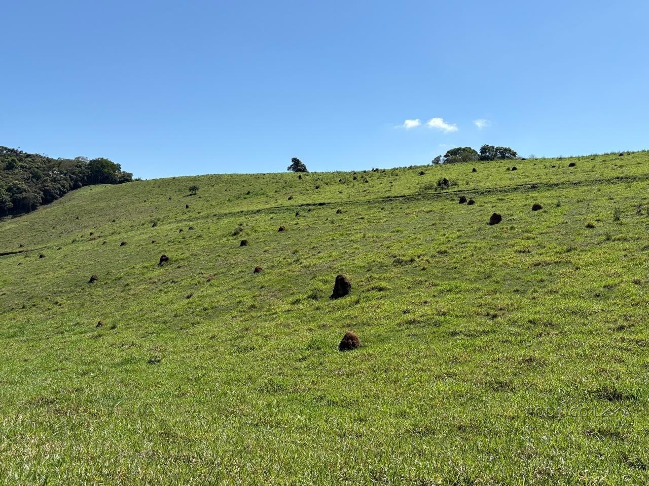 Terreno Rural para venda em Dom Viçoso MG