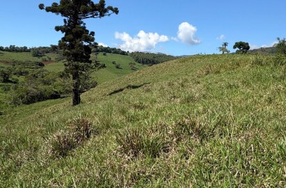 Terreno rural para venda em Dom Viçoso MG