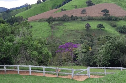Sítio/ Haras para venda em Baependi MG
