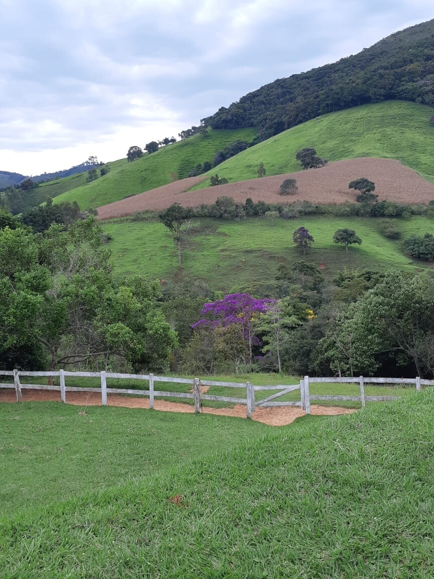 Sítio/ Haras para venda em Baependi MG
