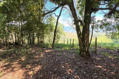 Terreno Rural para venda em Dom Viçoso MG