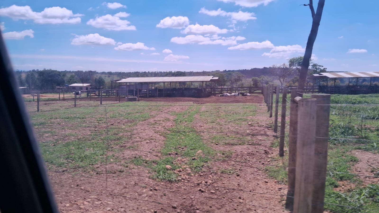 Fazenda para venda em Curvelo Mg