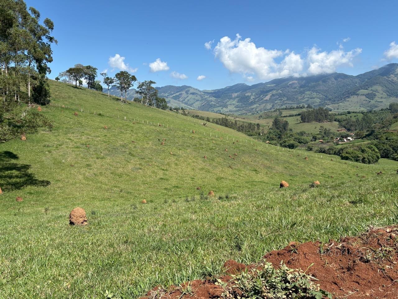 Terreno Rural para venda em Dom Viçoso MG