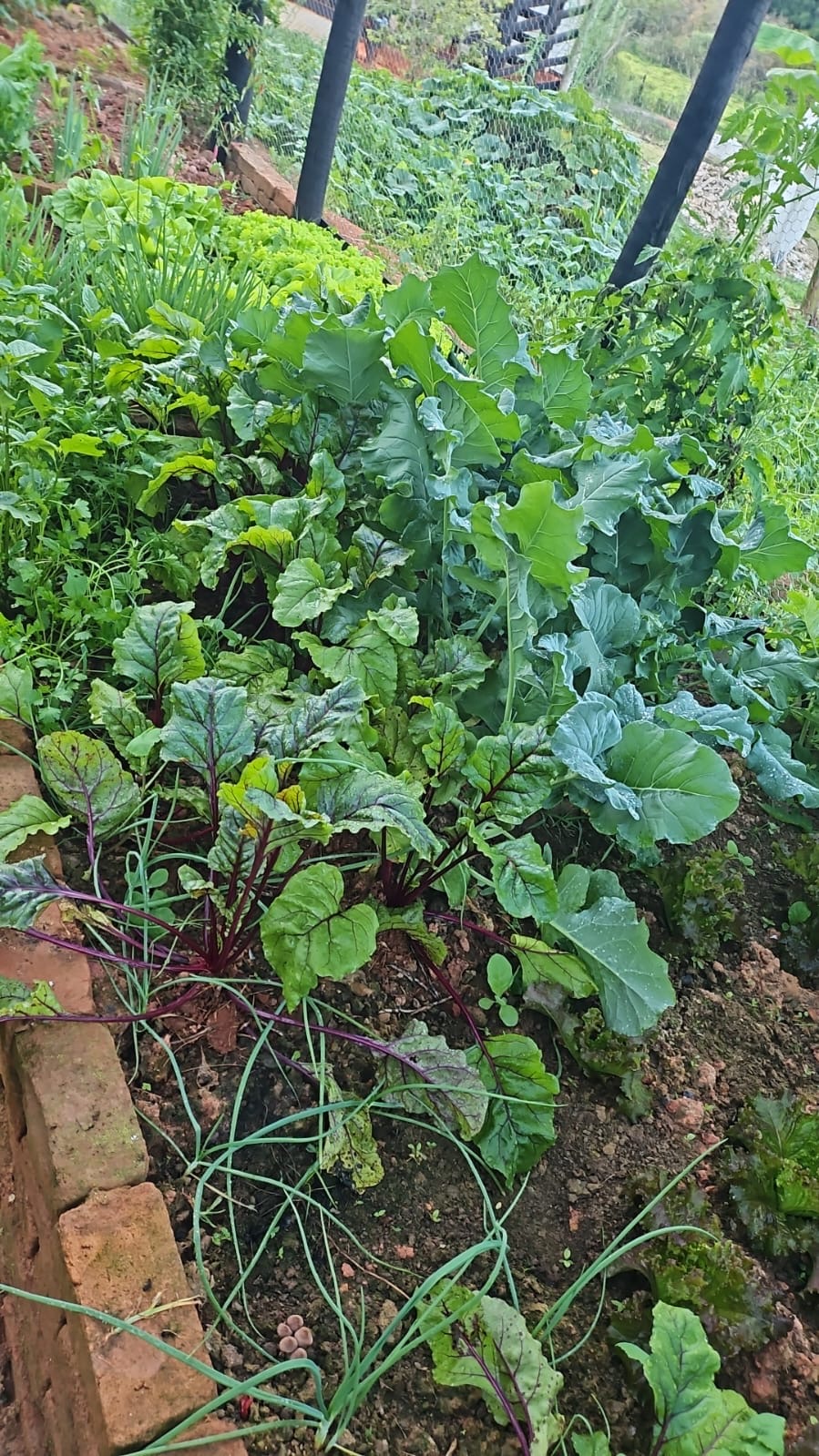 Chácara para venda em Caxambu MG.