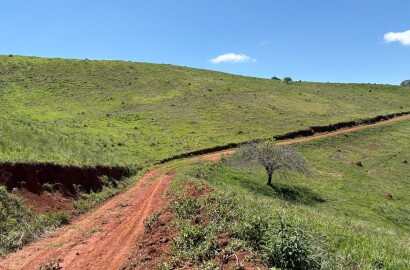 Terreno Rural para venda em Dom Viçoso MG
