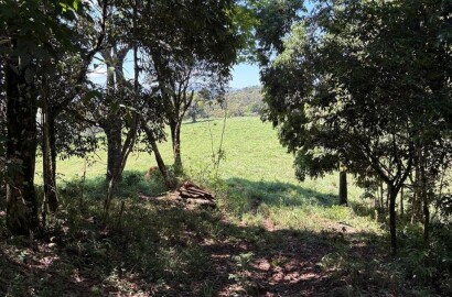 Terreno Rural para venda em Dom Viçoso MG