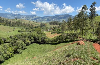 Terreno Rural para venda em Dom Viçoso MG