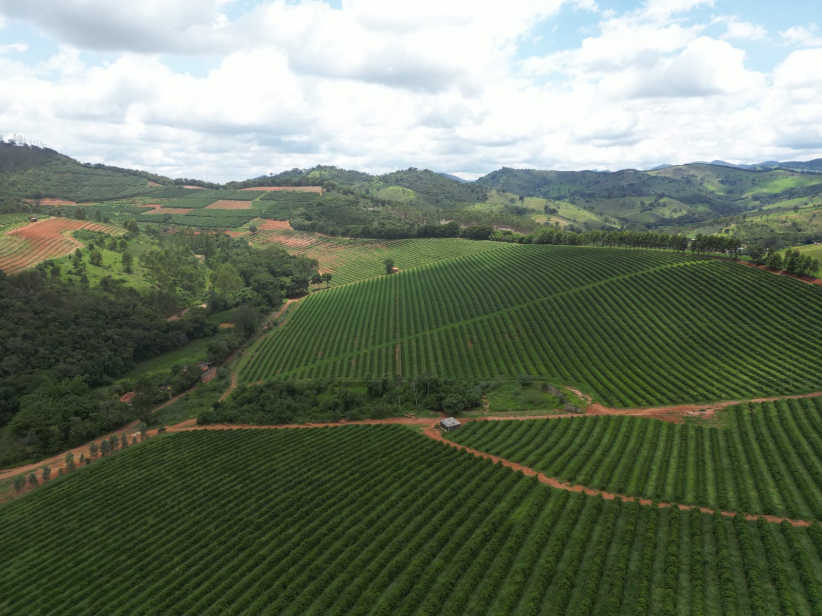 Fazenda para venda em São Lourenço Mg