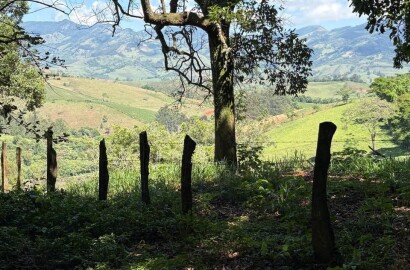 Terreno Rural para venda em Dom Viçoso MG