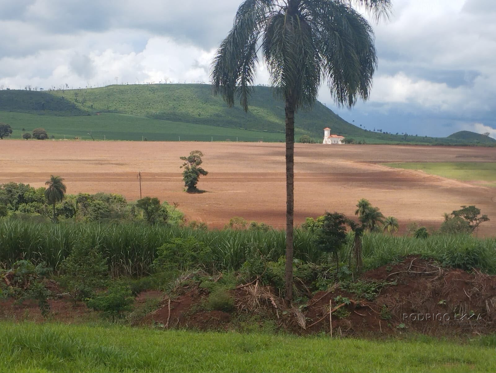 Fazenda para venda na região de Cajuru SP