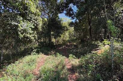 Terreno Rural para venda em Dom Viçoso MG