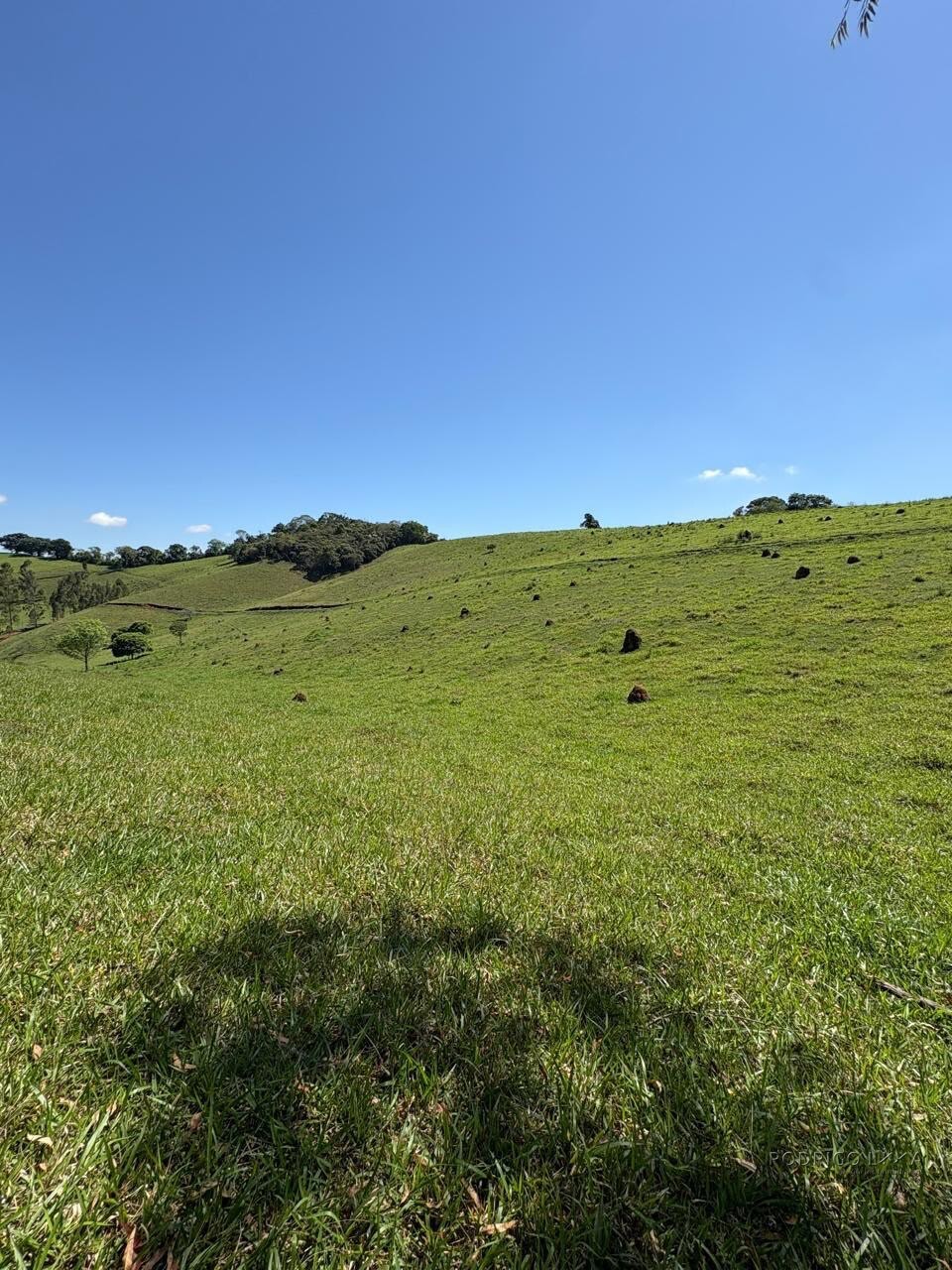 Terreno Rural para venda em Dom Viçoso MG