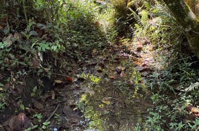 Terreno Rural para venda em Dom Viçoso MG