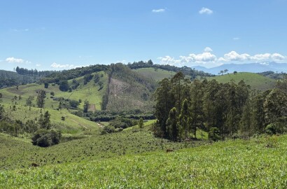 Terreno Rural para venda em Dom Viçoso MG