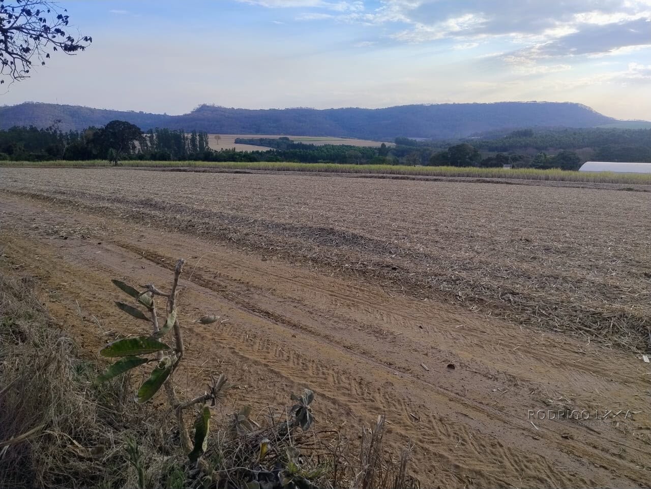 Fazenda Haras para venda na região de São Pedro SP