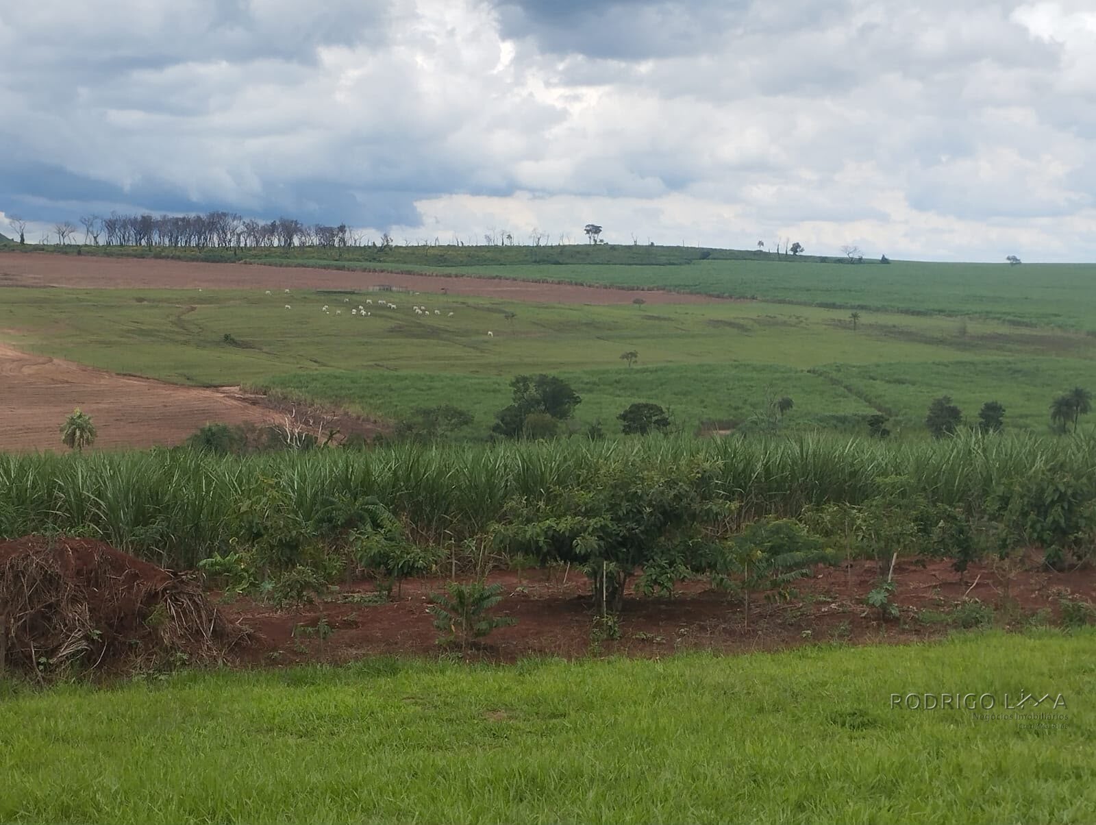 Fazenda para venda na região de Cajuru SP