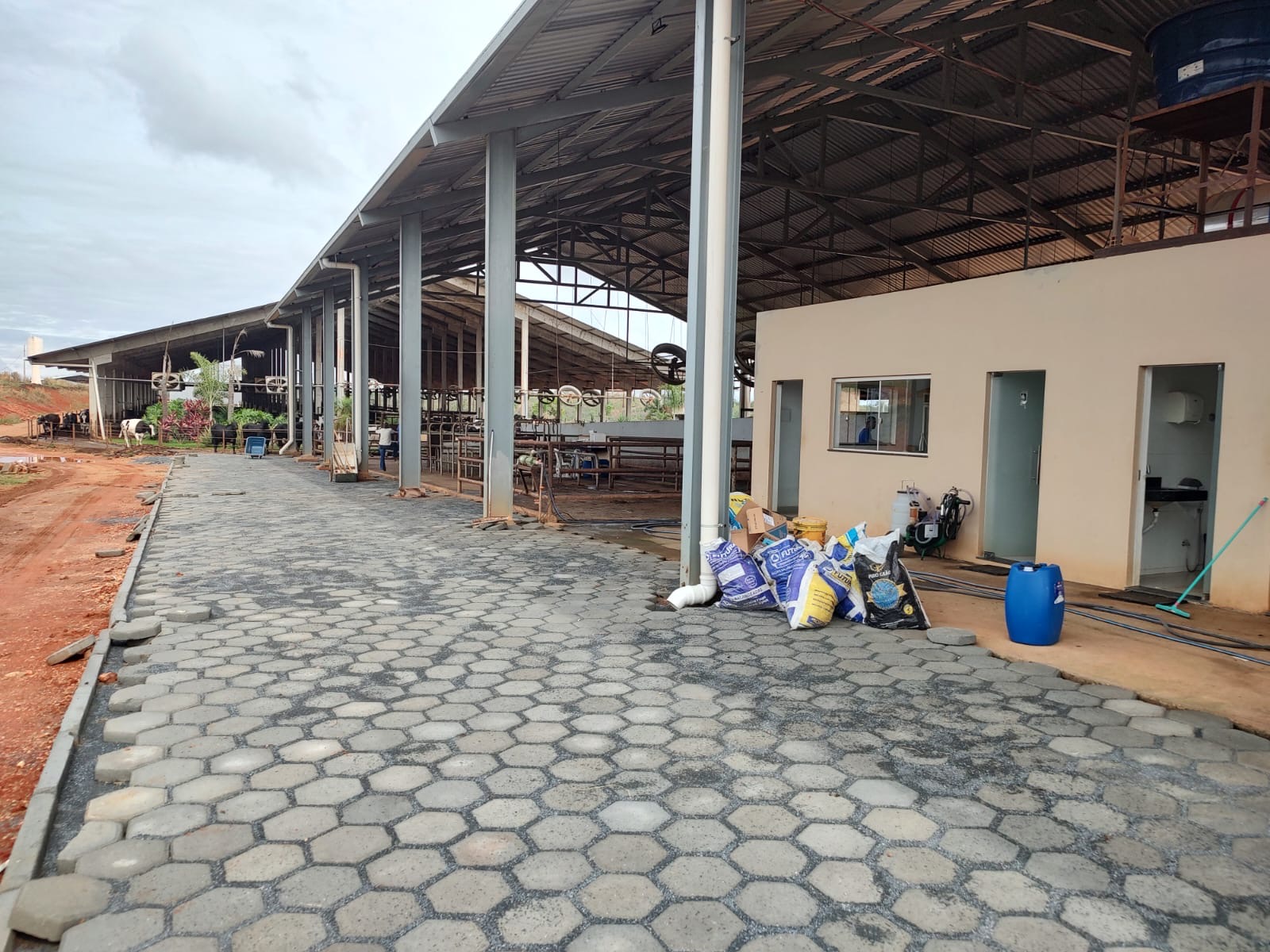 Fazenda para venda em Curvelo Mg