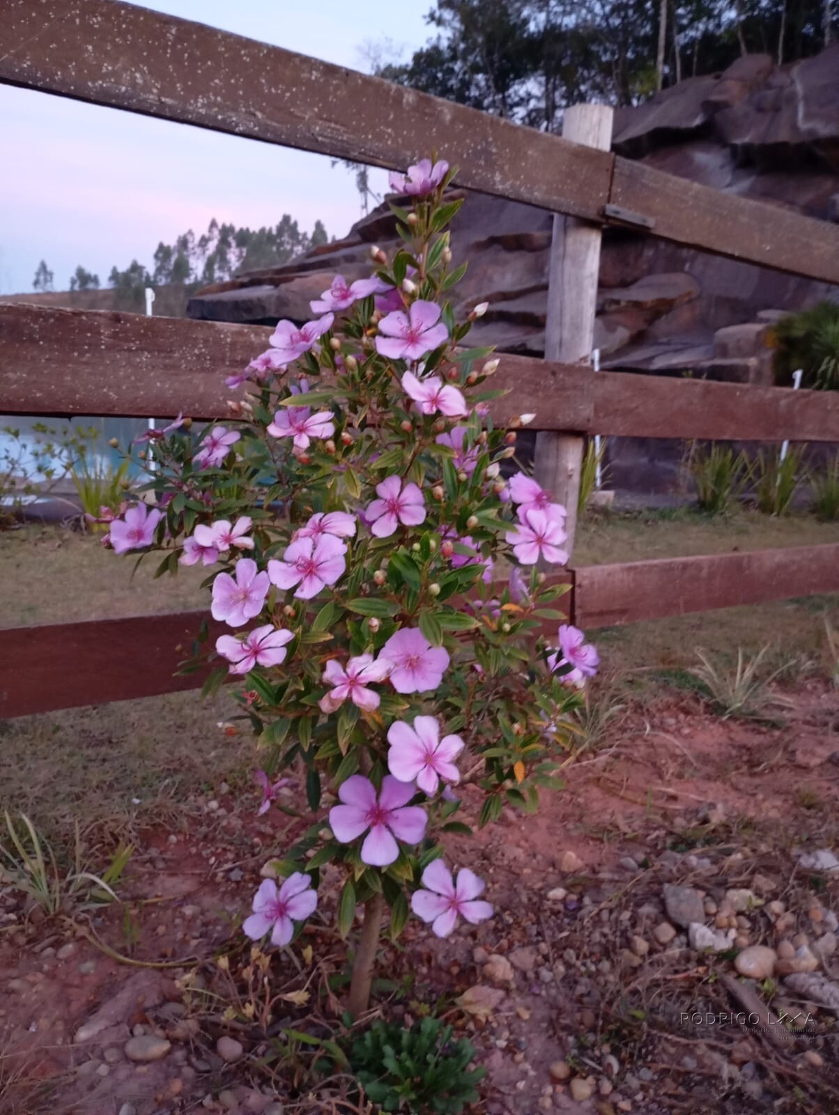 Lindo Sitio para venda próximo a São Lourenço - MG