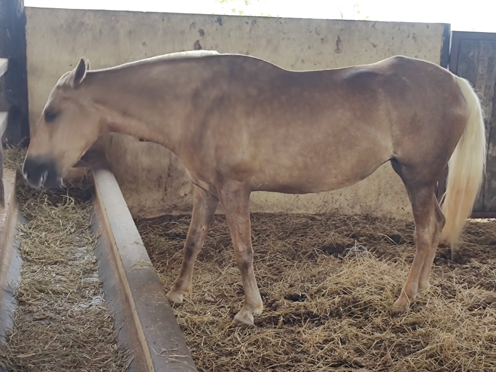 Fazenda para venda em Curvelo Mg