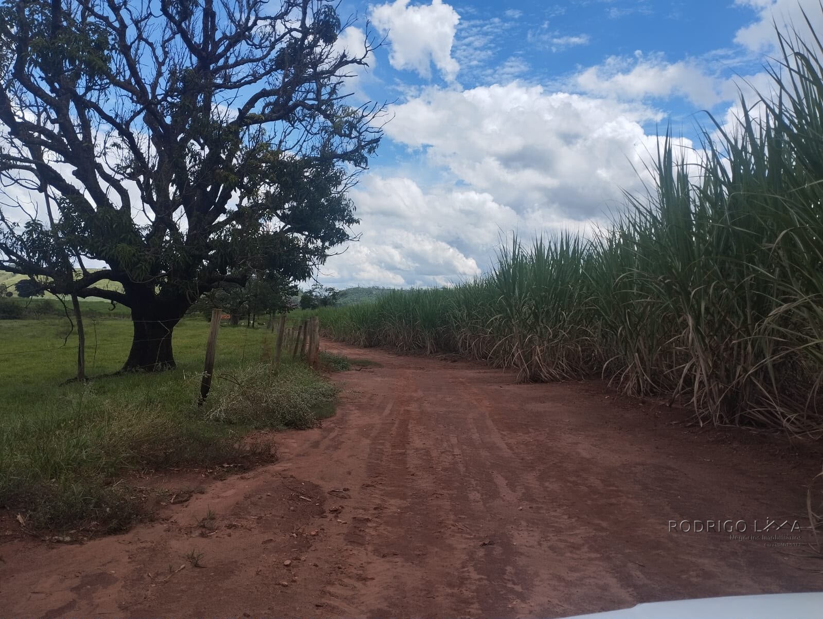 Fazenda para venda na região de Cajuru SP