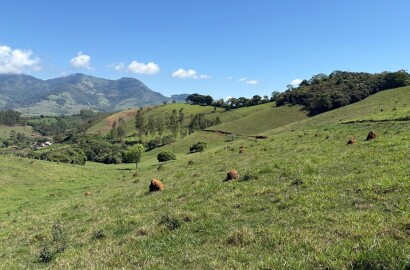 Terreno Rural para venda em Dom Viçoso MG