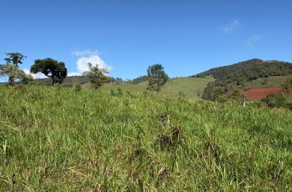 Terreno rural para venda em Dom Viçoso MG