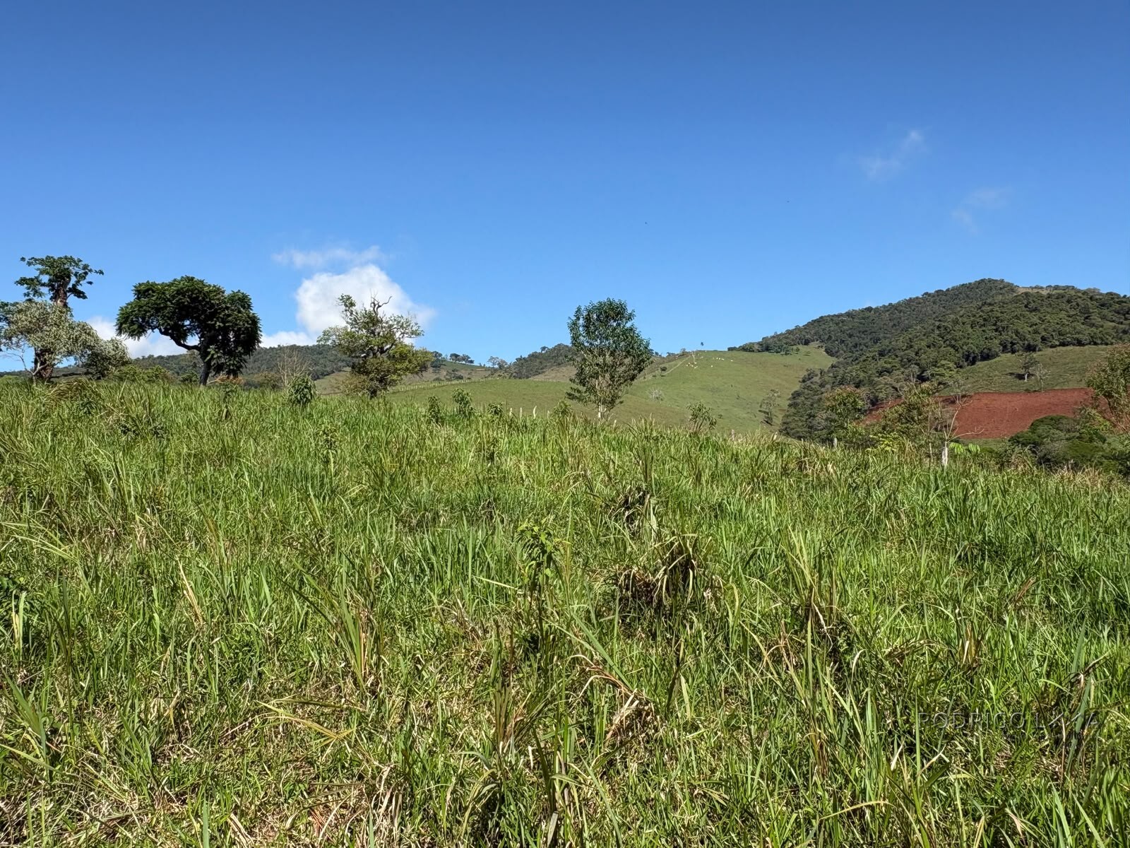 Terreno rural para venda em Dom Viçoso MG