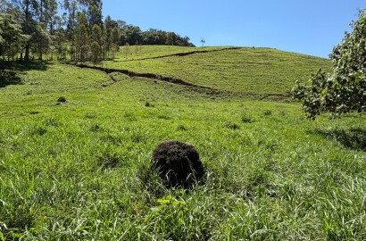 Terreno Rural para venda em Dom Viçoso MG