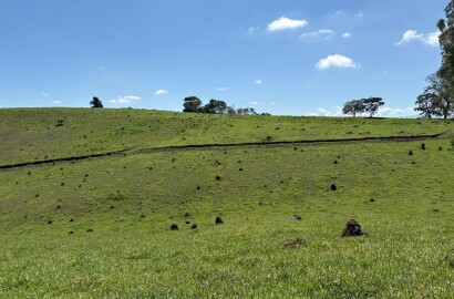 Terreno Rural para venda em Dom Viçoso MG