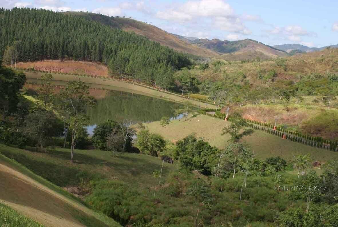 Propriedade Castelo Monalisa para venda em São João Nepomucemo MG