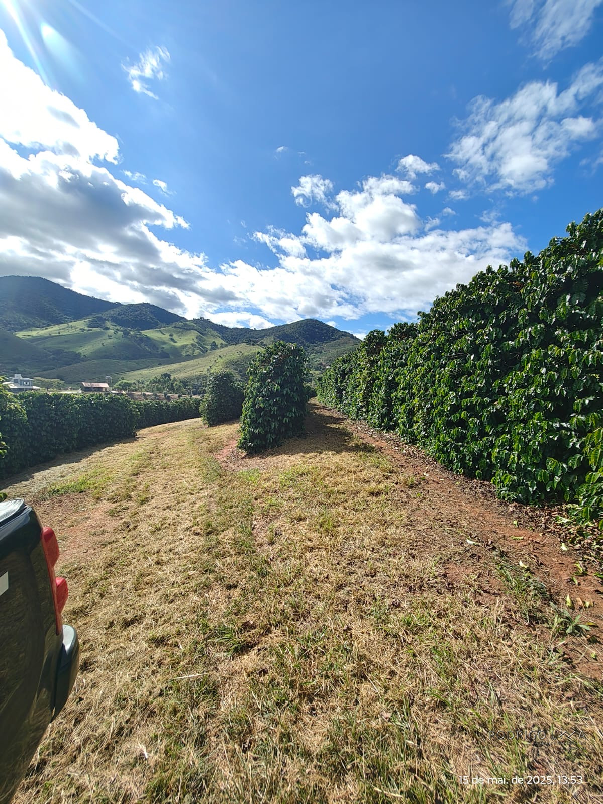 Linda fazenda para venda em Pouso Alto - MG