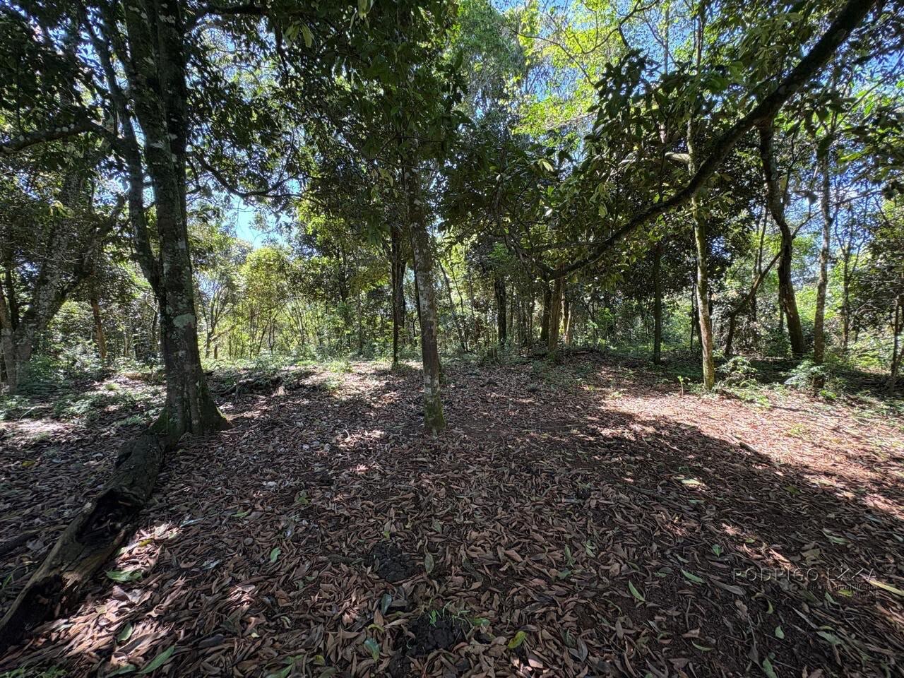Terreno Rural para venda em Dom Viçoso MG