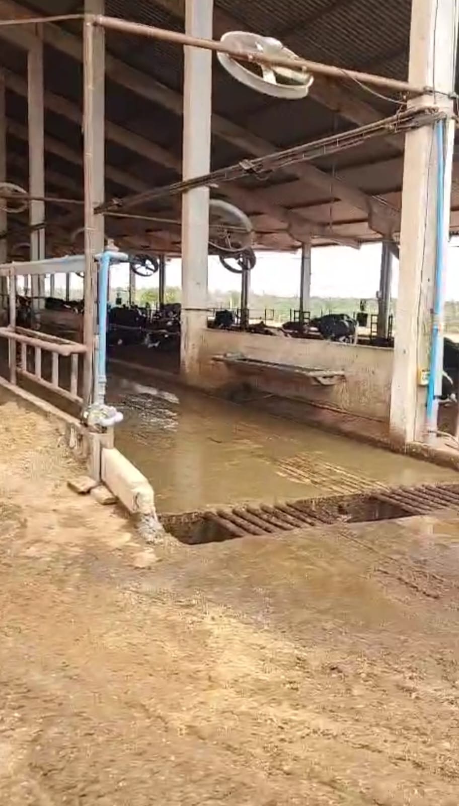 Fazenda para venda em Curvelo Mg