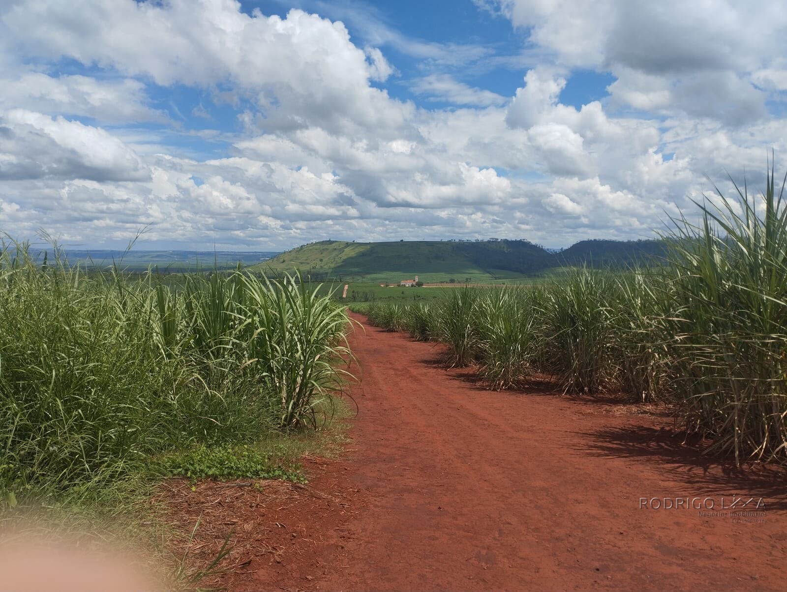 Fazenda para venda na região de Cajuru SP