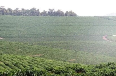 Linda fazenda para venda em Bom Sucesso MG.