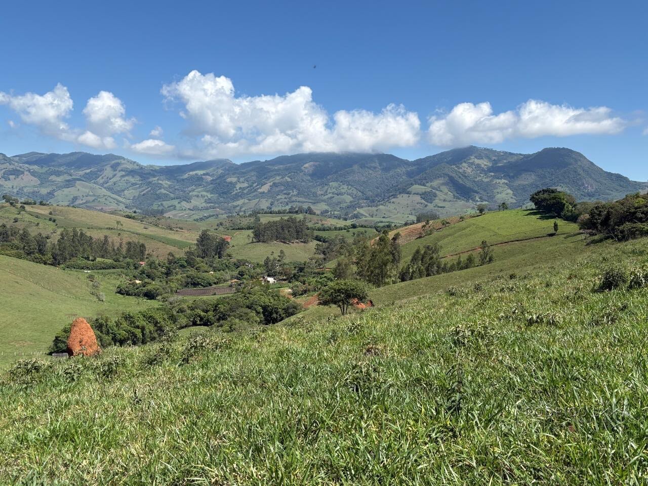 Terreno Rural para venda em Dom Viçoso MG