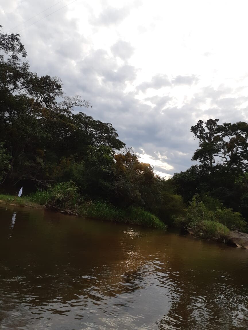 Sítio/ Haras para venda em Baependi MG