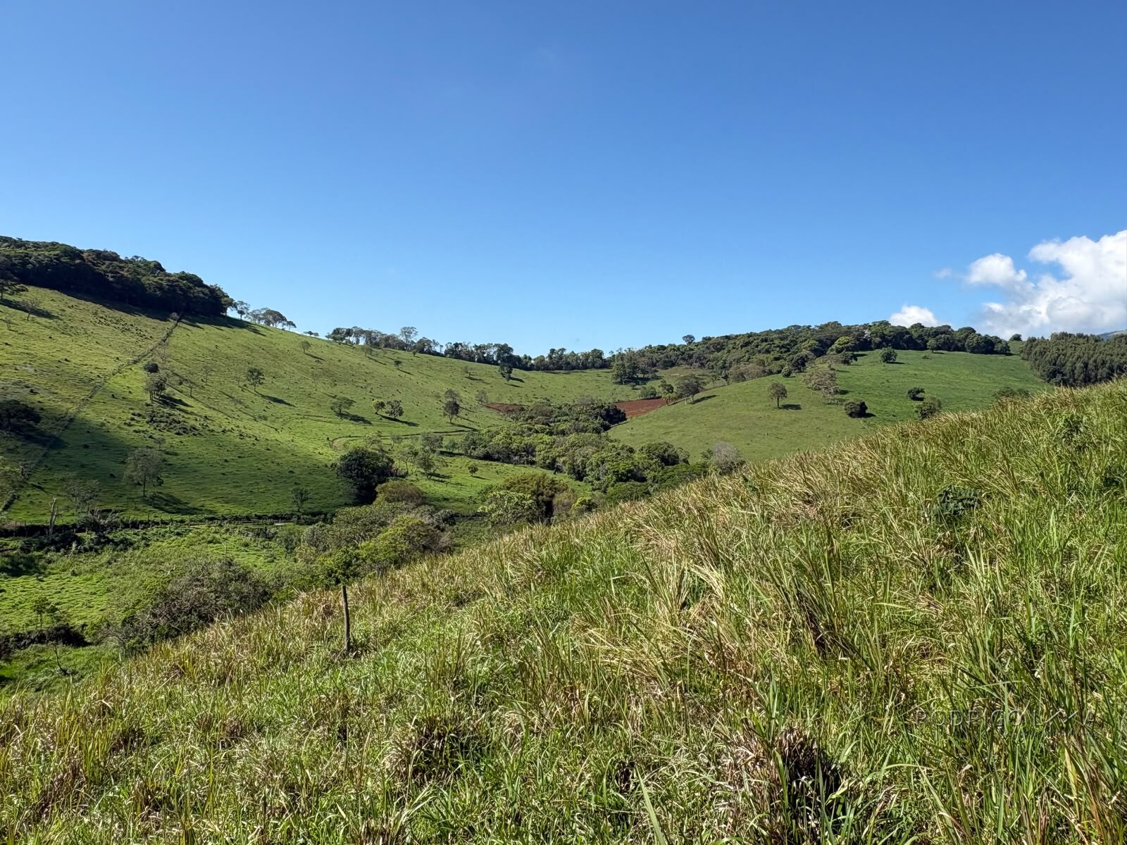 Terreno rural para venda em Dom Viçoso MG