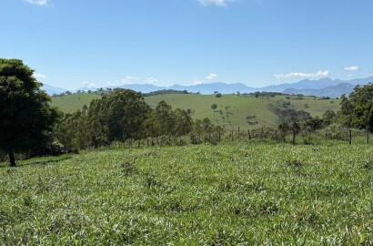 Terreno Rural para venda em Dom Viçoso MG