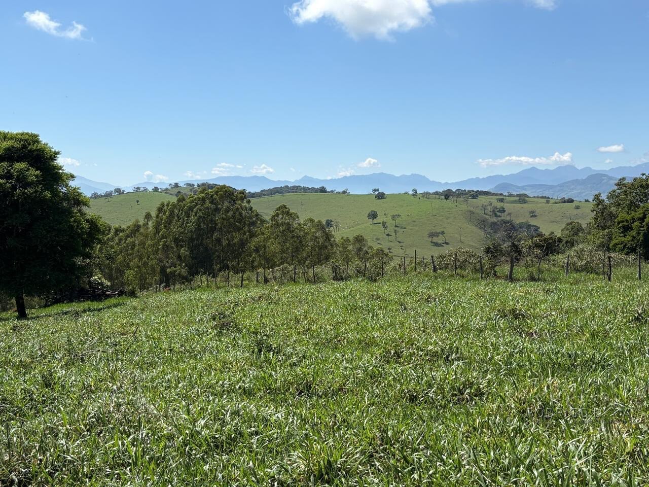 Terreno Rural para venda em Dom Viçoso MG