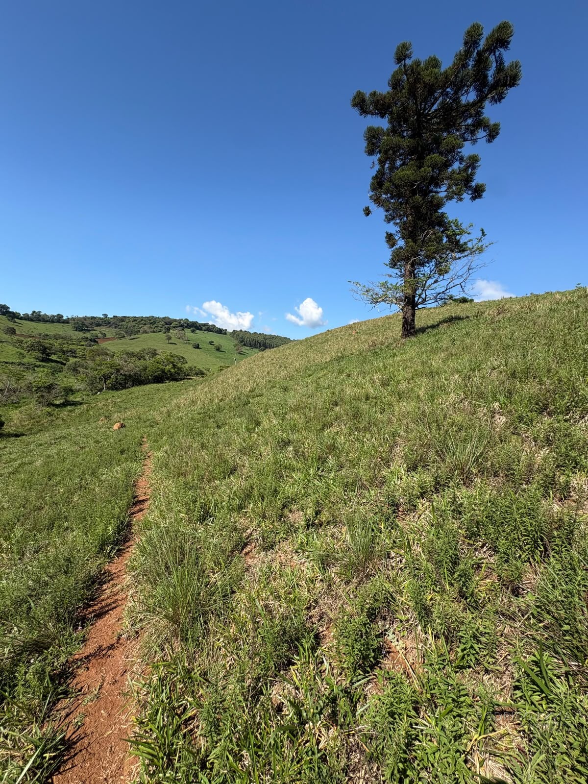 Terreno rural para venda em Dom Viçoso MG