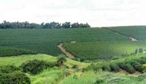 Linda fazenda para venda em Bom Sucesso MG.