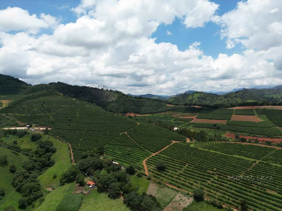 Linda fazenda para venda em Pouso Alto - MG