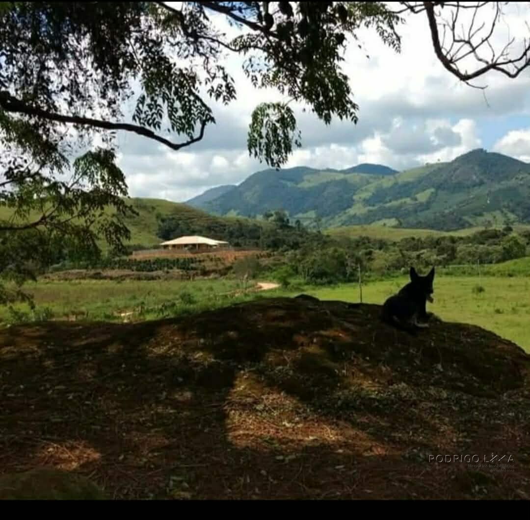 Sítio para venda em Olímpio Noronha mg