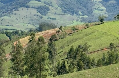 Terreno Rural para venda em Dom Viçoso MG