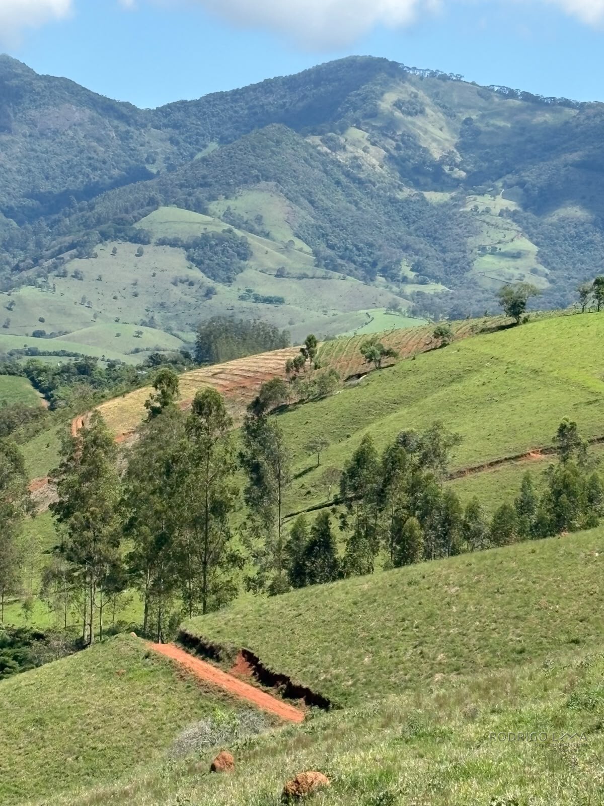 Terreno Rural para venda em Dom Viçoso MG